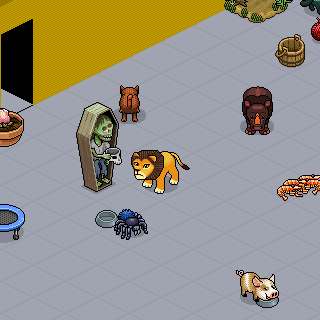 Photo by Hensin