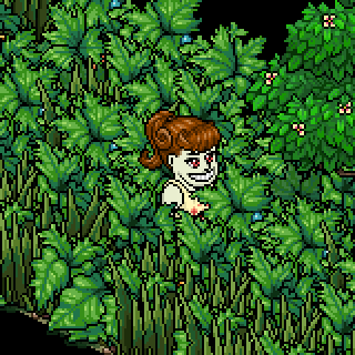 Photo by NoCake