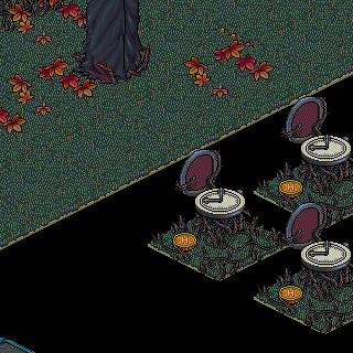 Photo by 6,6