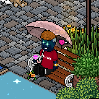 Photo by .Ziggy