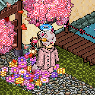 Photo by yohyaaan
