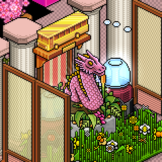 Photo by Kazimira
