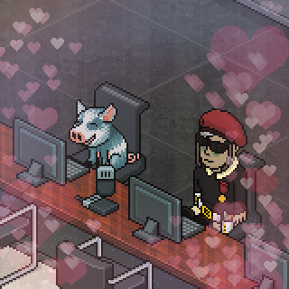 Photo by saltpocalypse