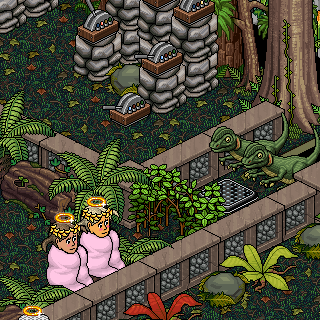 Photo by Qabik