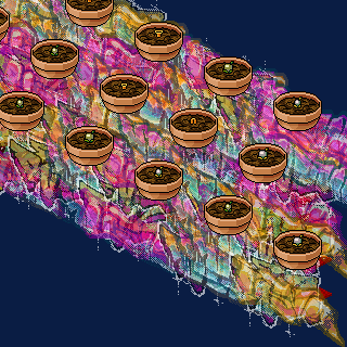Photo by ttyl