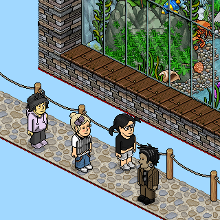 Photo by wart