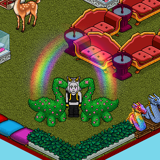 Photo by beckiee