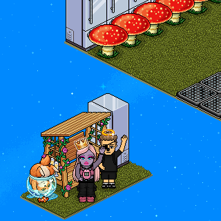 Photo by R0213