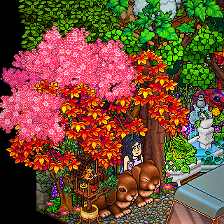Photo by Himuro