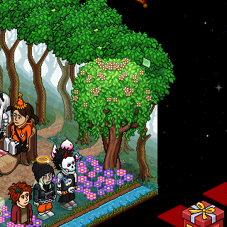 Photo by Bailed