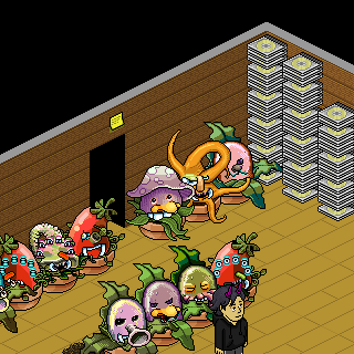 Photo by Chris